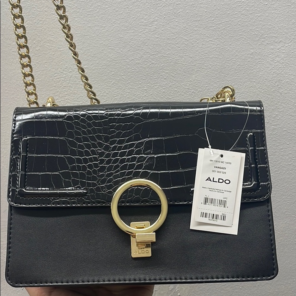 Aldo black bag.